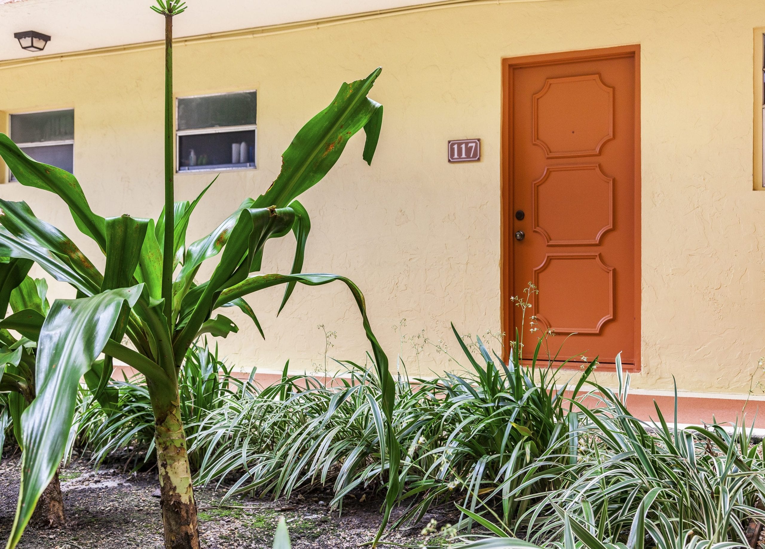 Kings Creek Remodeled 1 Bed with Open Kitchen For Lease Sea Grove Realty