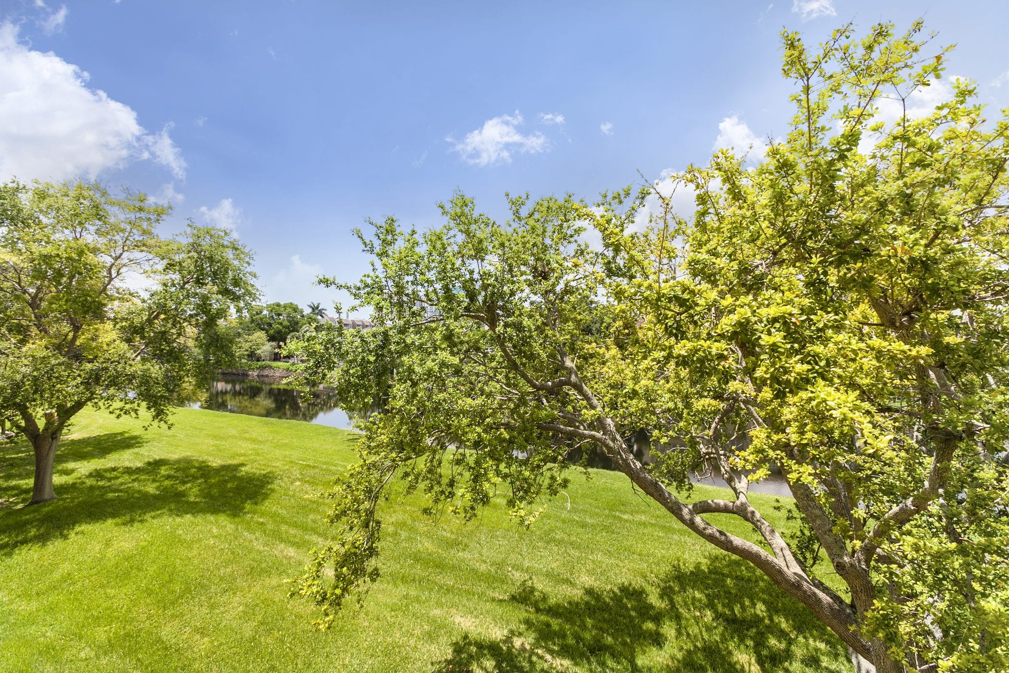 Remodeled Kings Creek Village 1 Bedroom Apartment for Lease Sea Grove