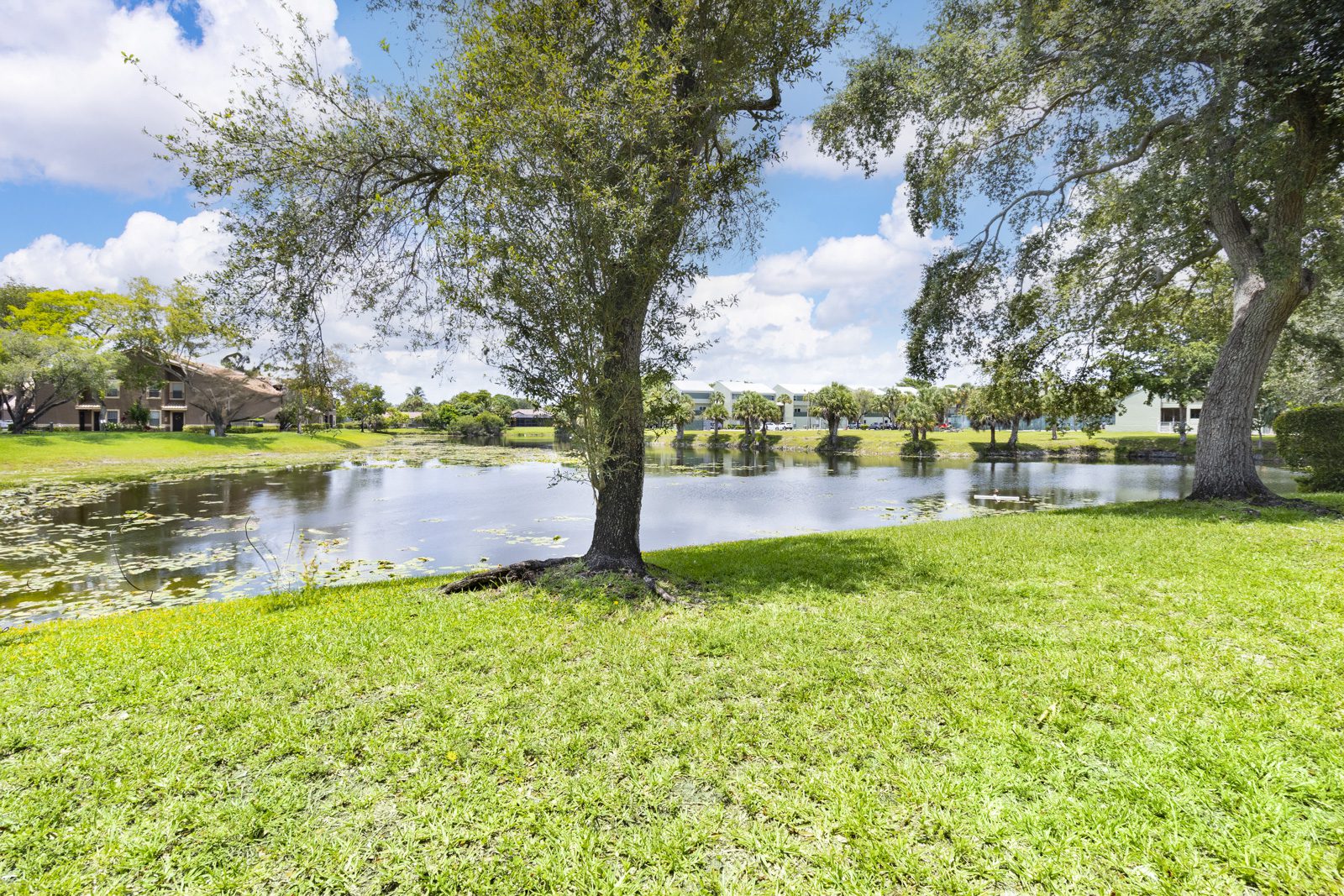 The Island Club at Coral Springs Sea Grove Realty